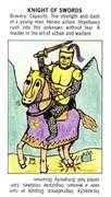 Knight of Swords Tarot card in Starter deck