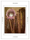 tapestry - Six of Wands