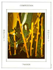 tapestry - Seven of Wands