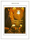 tapestry - King of Cups