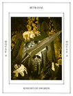 tapestry - Knight of Swords