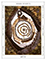 Tapestry
