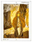 Tapestry