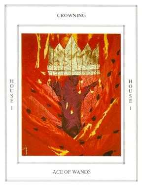 Ace of Wands Tarot card in Tapestry Tarot deck