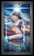 The Star Tarot card in Tarot Grand Luxe deck