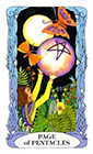 tarot-moon-garden - Page of Coins