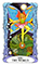 Tarot of a Moon Garden