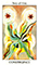Tarot of the Spirit