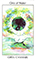 Tarot of the Spirit