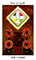 Tarot of the Spirit