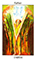 Tarot of the Spirit