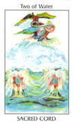 Two of Water Tarot card in Tarot of the Spirit deck