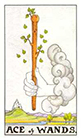 universal-waite - Ace of Wands