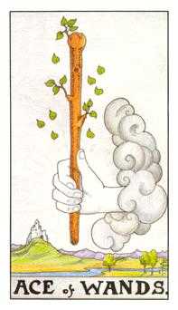 Ace of Wands Tarot Card - Universal Waite Tarot Deck