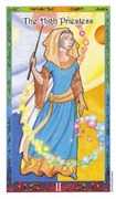 The High Priestess Tarot card in Whimsical Tarot deck