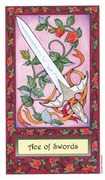 Ace of Swords Tarot card in Whimsical Tarot deck