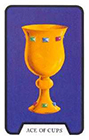 witches - Ace of Cups