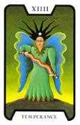 Temperance Tarot card in Tarot of the Witches deck