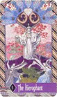 zerner-farber - The Hierophant