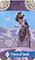 Zerner Farber Tarot