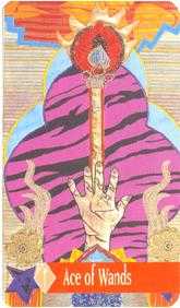 Ace of Wands Tarot card in Zerner Farber Tarot Tarot deck